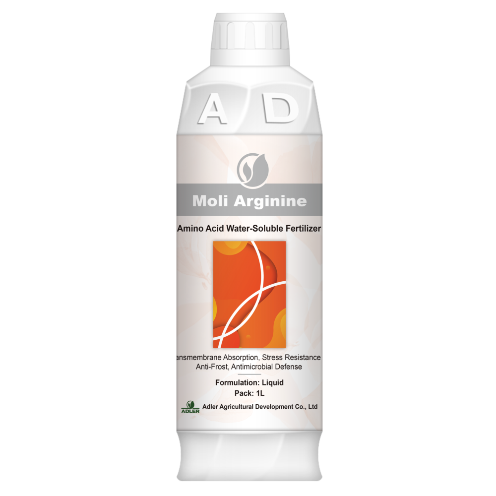 ADL001 Moli Arginine