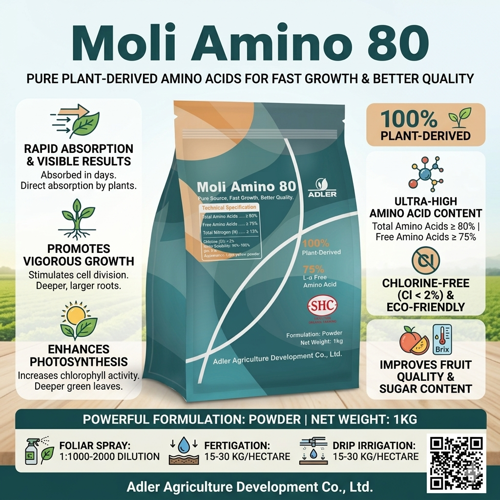 ADL104 Moli Amino 80 - Image 3
