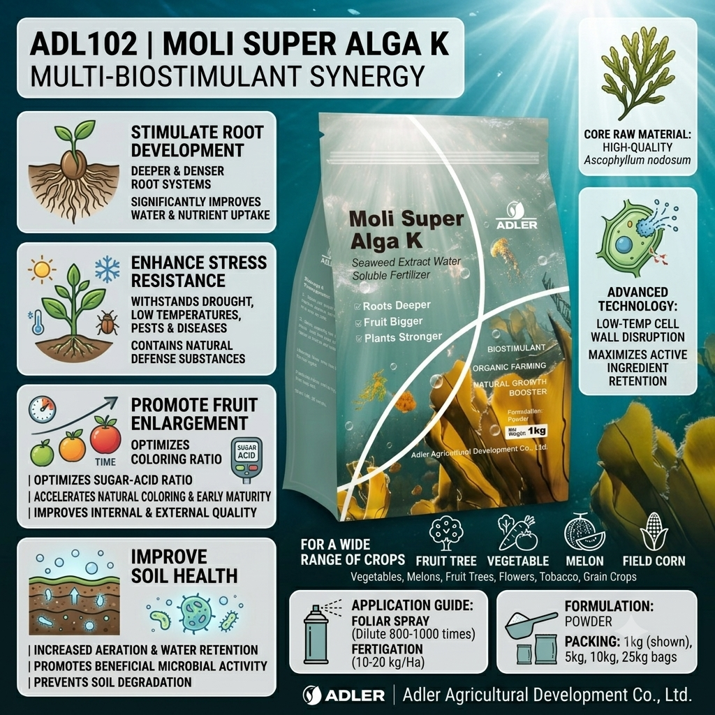 ADL102 Moli SuperAlga K - Image 3