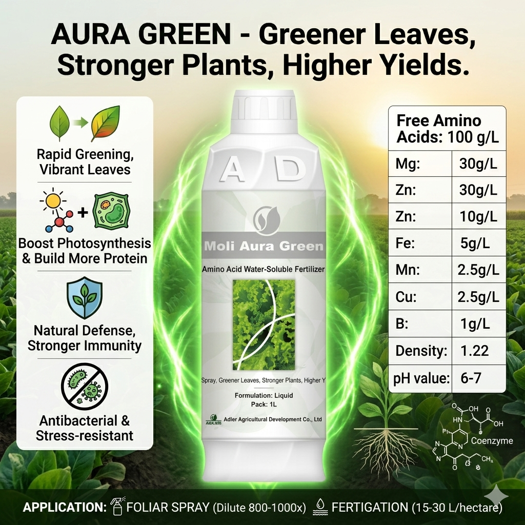 ADL008 Moli Aura Green - Image 2